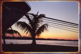caribbean1108