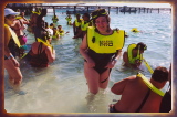 caribbean1100