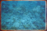caribbean1302