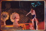 caribbean0531