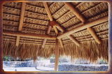 caribbean0301