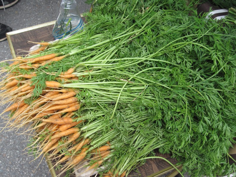 Farmers Market Farmers Market