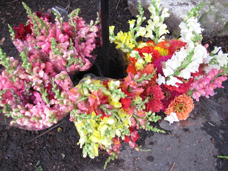 Farmers Market Farmers Market