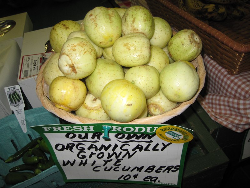 Farmers Market Farmers Market